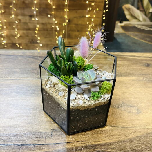 Флорариум Аура