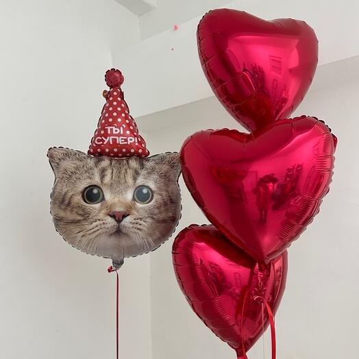 Шарики сердечки с котиком