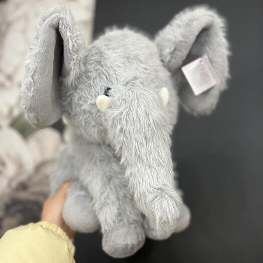 Слон с большими ушами