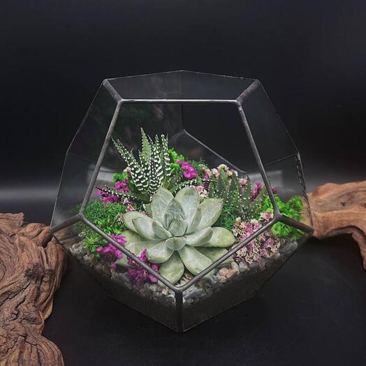 Флорариум с суккулентами "Горный цветок"