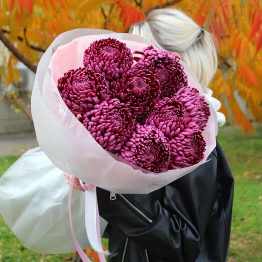 Хризантема Бигуди