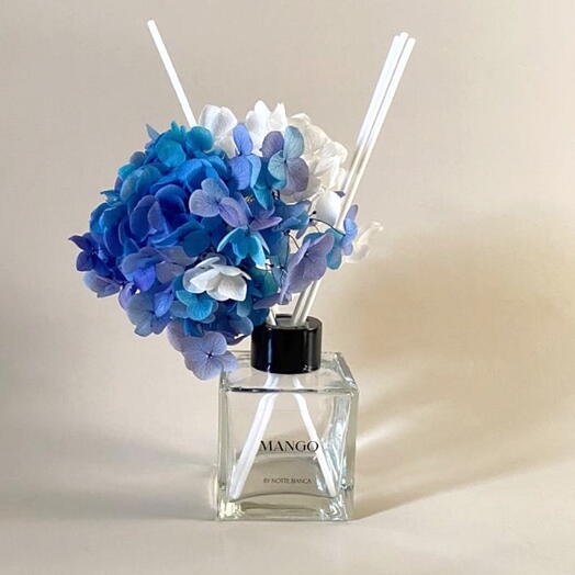 Аромадиффузор авторский «Mango