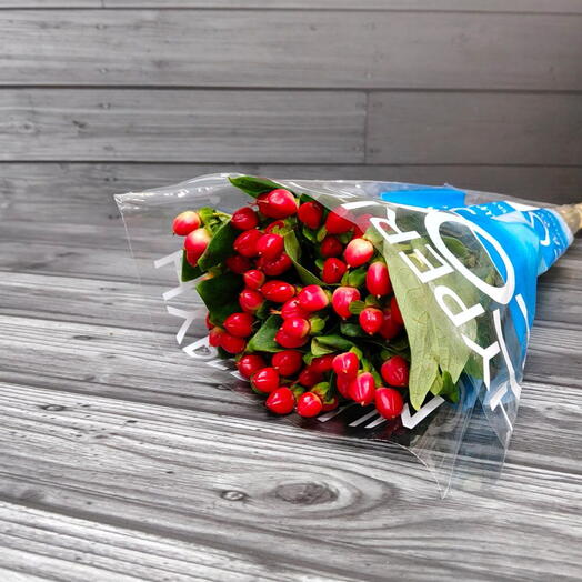 Пачка (10 шт.) Гиперикум Коко Диабло 50 см Арт. Fc01825c