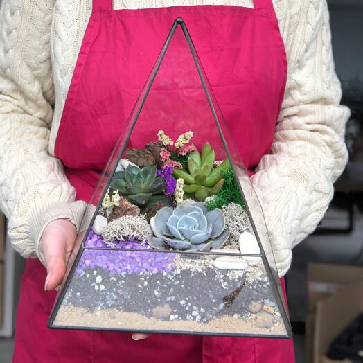 Bright gift florarium with succulents pyramid Cleopatra