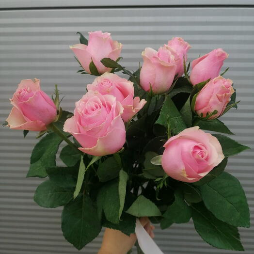 9 розовых роз с лентой