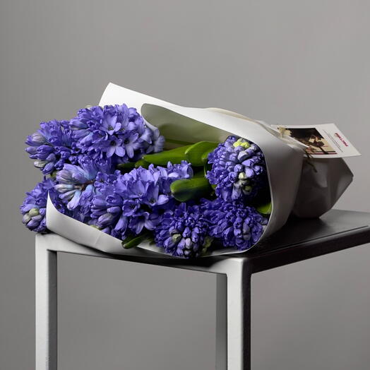 Моно букет «Растим». Синий гиацинт