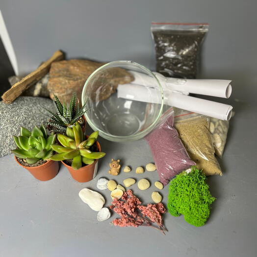 Набор для создания флорариума своими руками с капибарой