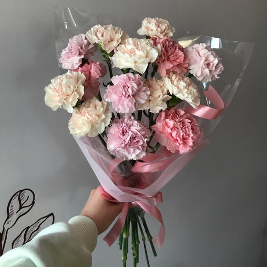 «Флёр S» диантусы, 15 штук