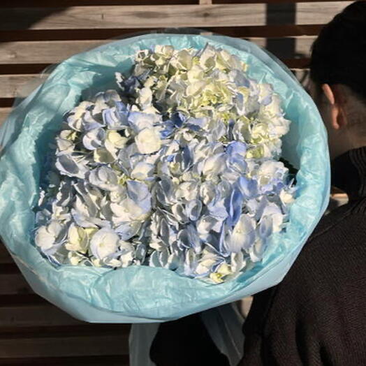 Голубая гортензия букет с нежной упаковкой ( ВБ3)