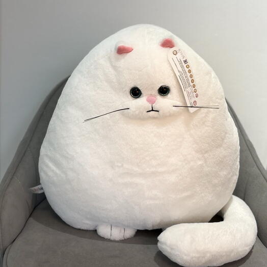 Белый кот