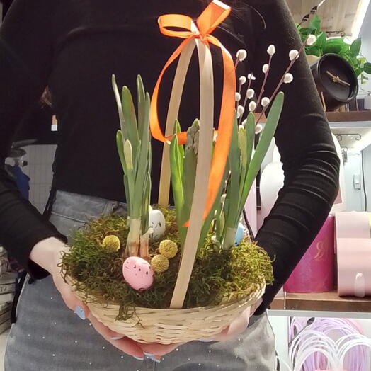 Садик с нарциссами и гиацинтами в корзине