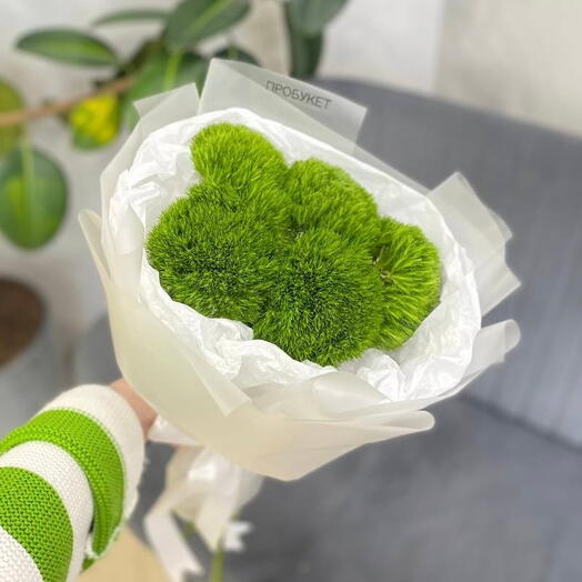 Букет из необычных гвоздик 🥝💚