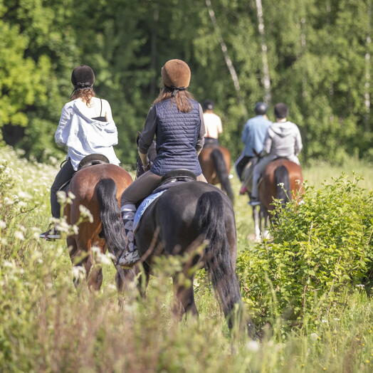 Сертификат на услуги конного клуба