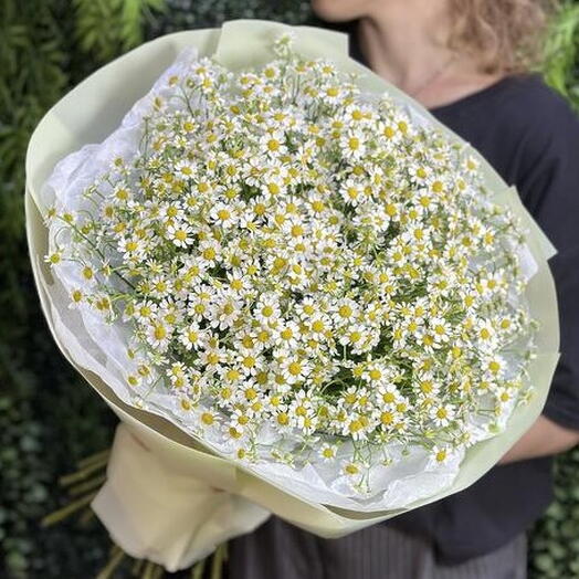 Шикарный летний букет из 25 кустовых ромашек танацетум