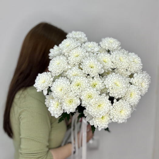 Хризантемы 5 Алтай