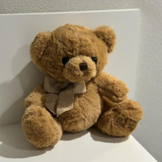 Плюшевый медвежонок 🧸