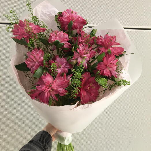 Альстромерия моно🌸