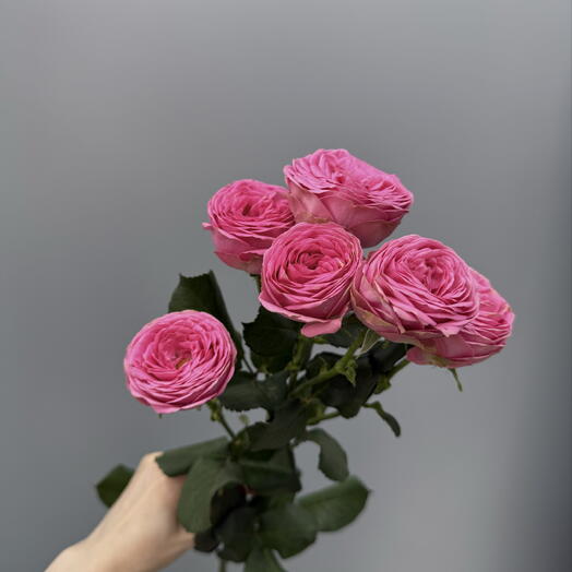 Кустовая Роза Bombastic ярко розовая 🌸