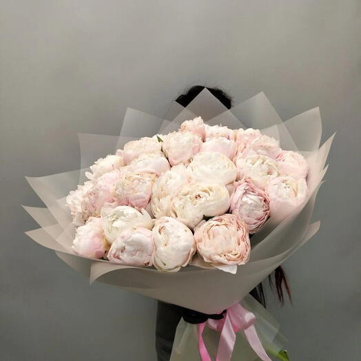 25 пионов розовых