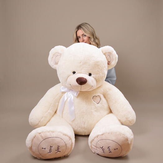 Big teddy bear 2.30cm