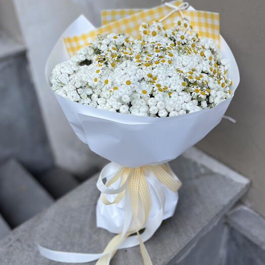 Purity of daisies