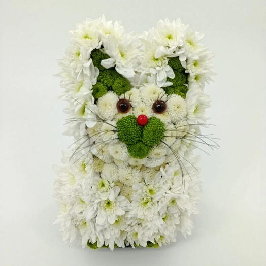 Композиция Котик