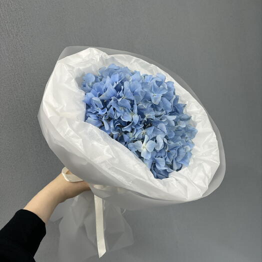 Гортензия в оформлении 💙