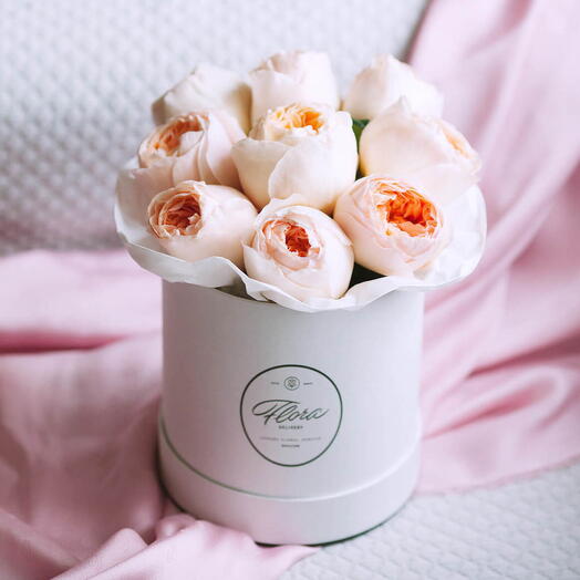 Demi Hatbox "Austin Juliet Roses" WHITE