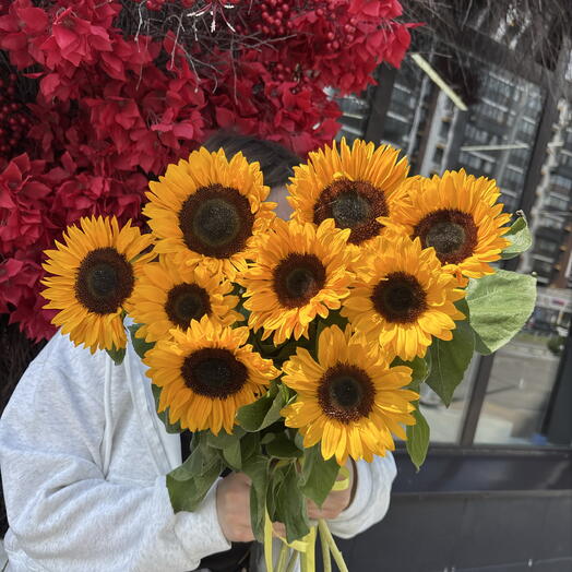 9 прекрасных подсолнухов 🌻