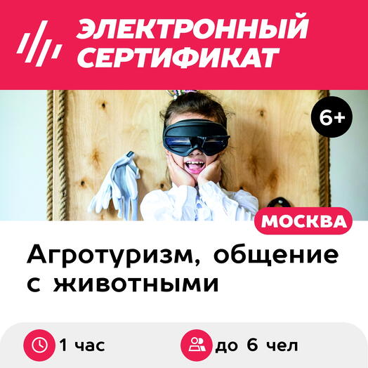 Подарочный сертификат Детективный детский квест на конюшне, до 6 человек (1 час) (Москва)