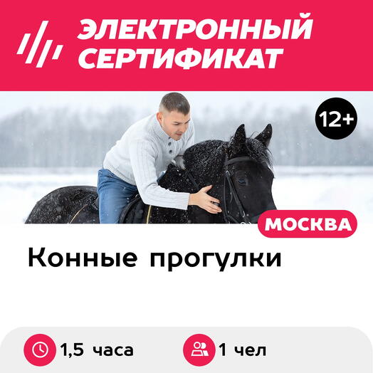 Подарочный сертификат Индивидуальная конная прогулка шагом и рысью, 1 чел. (1,5 часа)