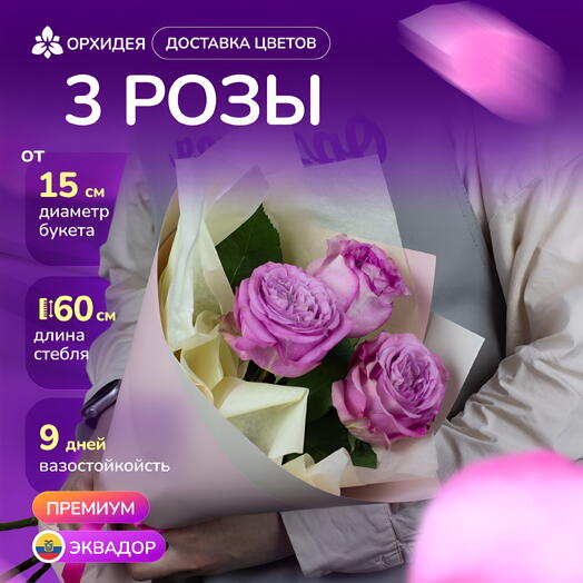 3 Пионовидных роз "Куинси"