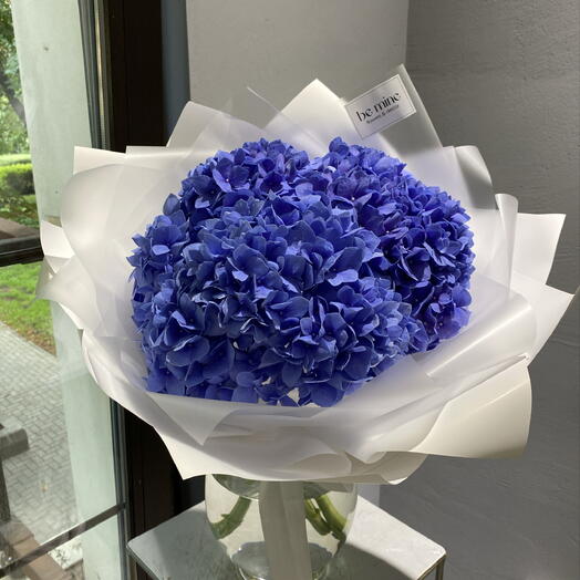 Синие гортензии