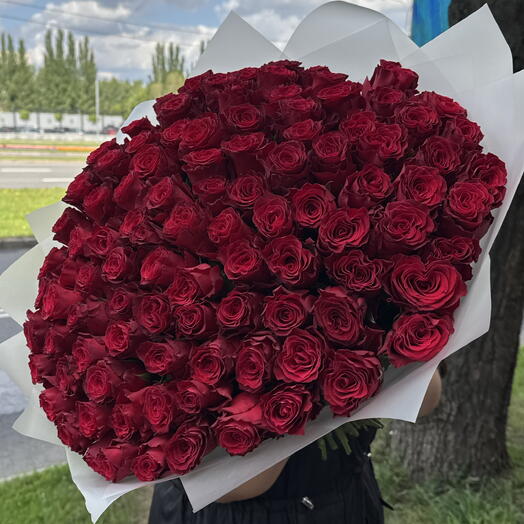 Крупная бордовая Роза 🌹