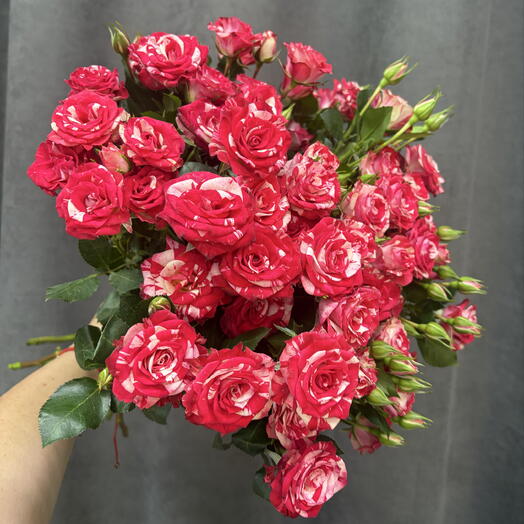 Букет из 9 кустовых роз