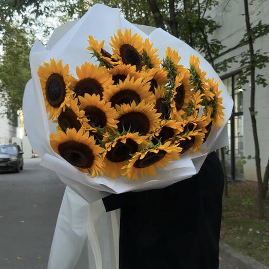 Подсолнухи 25 шт в матовом оформлении