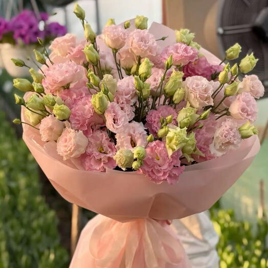 Pink Grace