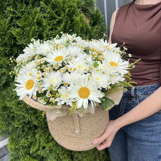 Корзина с ромашками 💐🌻