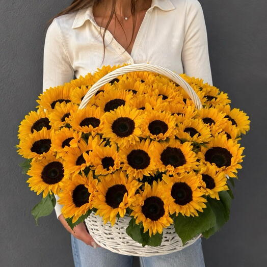 🌻 sunflowers
