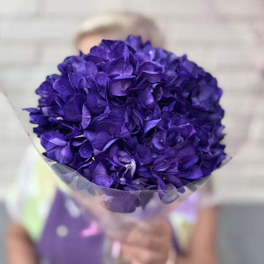 Пачка гортензия фиолетовая 💜 1 шт Колумбия