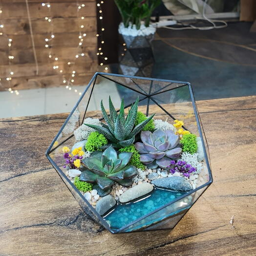 Florarium with succulents