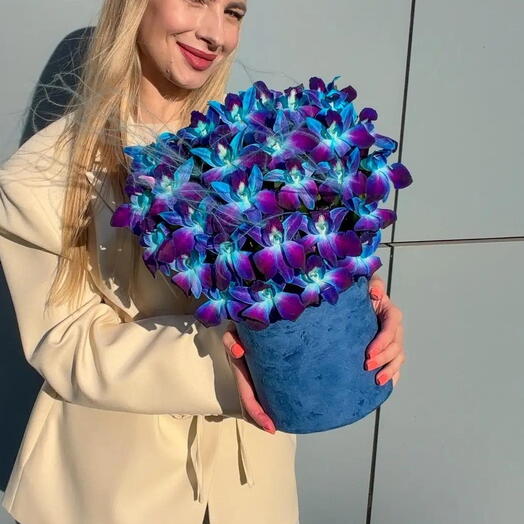 Цветы в коробке космос из орхидей. Монобукет 631. Leoraflowers
