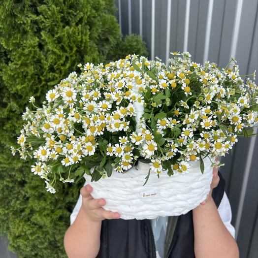 Матрикари Корзина 💐