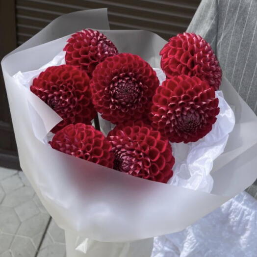 Mono bouquet of red dahlias