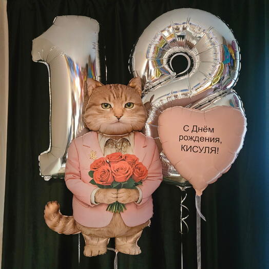 Шарики на 18лет девушке, любимой, сестре, внучке, дочке, кот розовый романтик -4шара