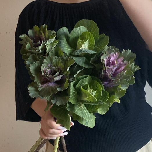Брассика - декоративная капуста 🥬 стойкий осенний цветок 💚