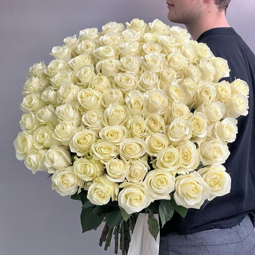 Классические белые розы