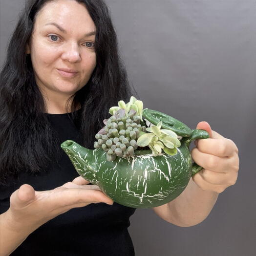 Композиция из суккулентов в авторском кашпо‑чайнике — стильный ботанический арт‑объект для современного интерьера, Флорариум