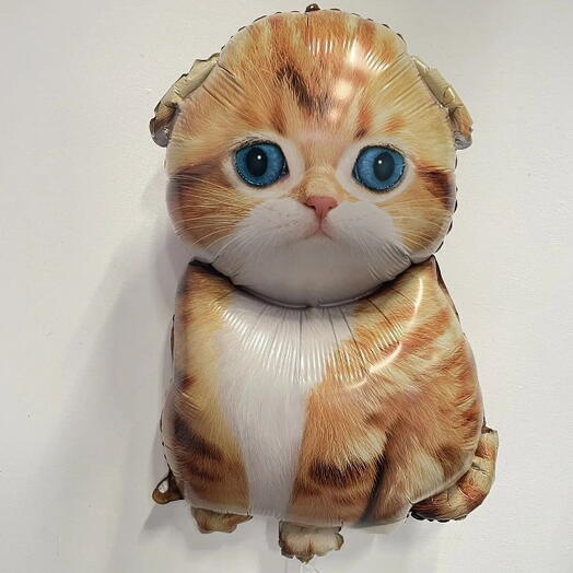 Рыжий котёнок - шар-фигура