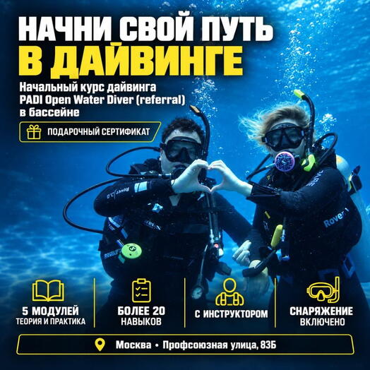 Подарочный сертификат «Начальный курс дайвинга PADI Open Water Diver (referral) в бассейне» (1 курс, 1 человек в составе группы)
